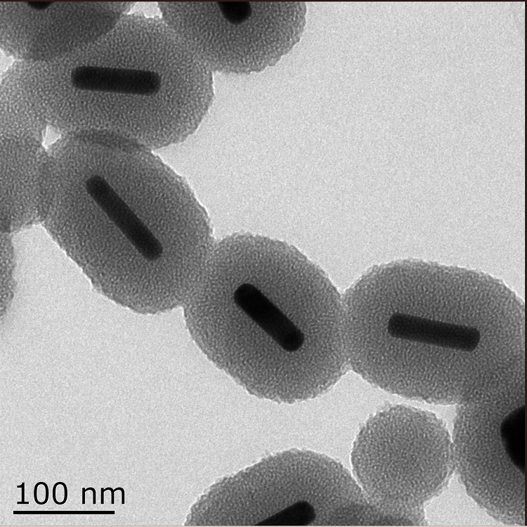 介孔二氧化硅包覆金納米棒