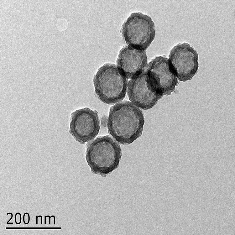 硅納米材料藥物遞送平臺