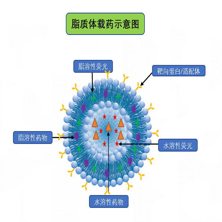 納米材料定制平臺介紹