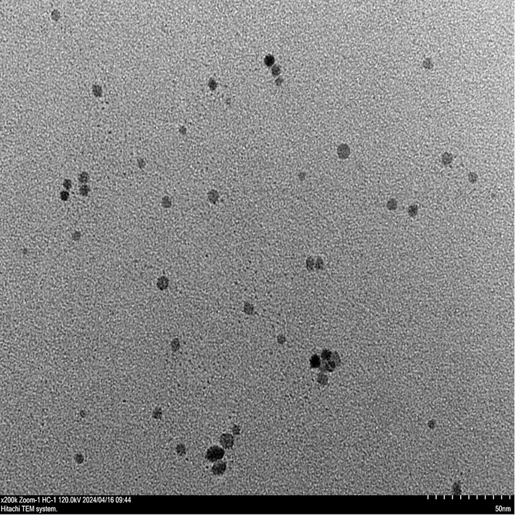 錳氧化物納米顆粒