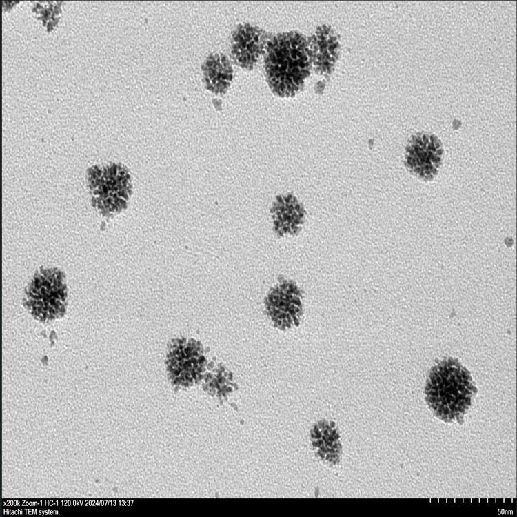 銠錸合金納米顆粒
