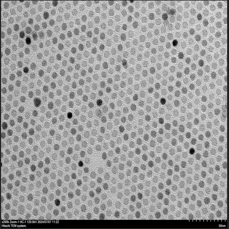 羧基磁性納米顆粒（5-50nm）可選